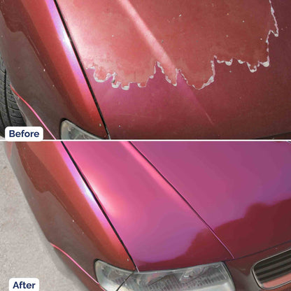 Custom Color PRO Tricoat Touch Up Paint for Spray Guns (1 Gallon)